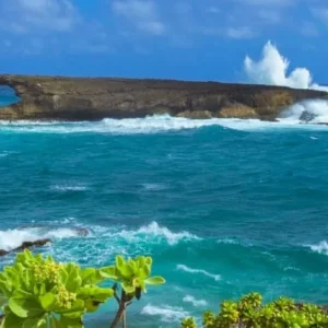 Private Pearl Harbor and Mini Circle Island Tour Departing from Waikiki Area